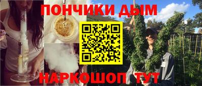гашик Сланцы