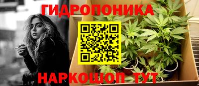 гашик Сланцы