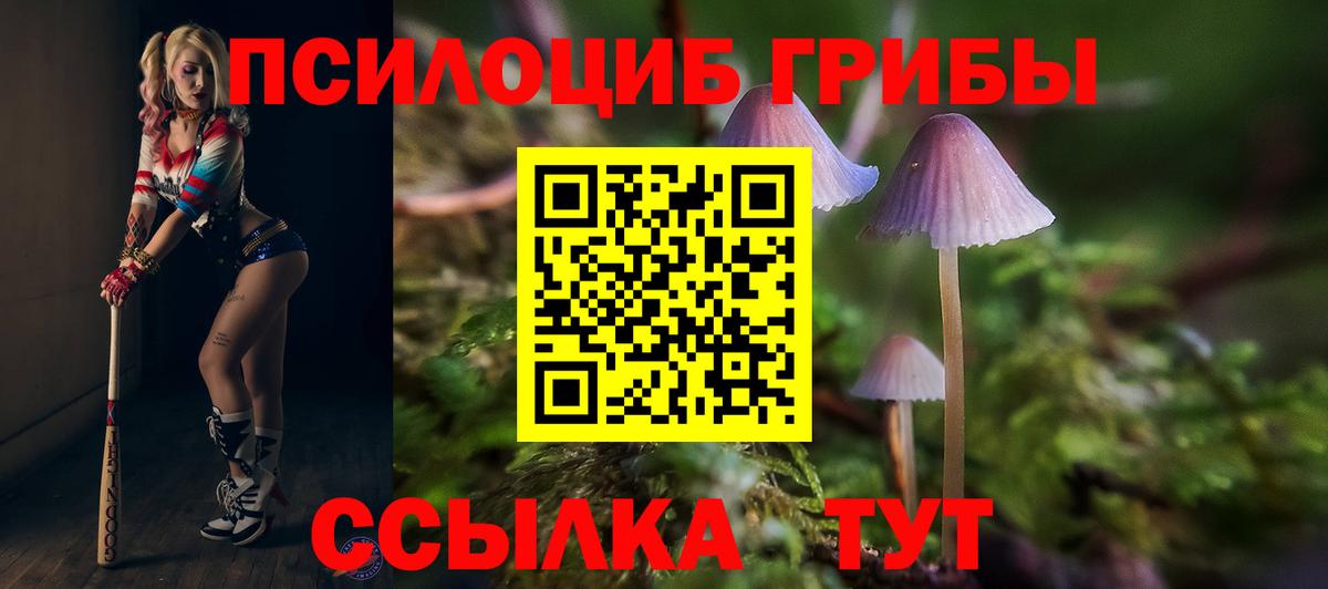 Галлюциногенные грибы Psilocybine cubensis Октябрьский